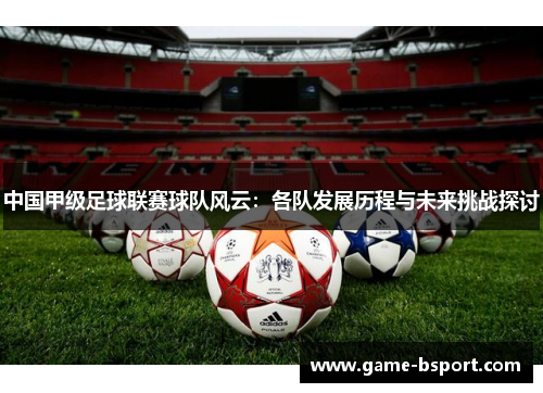 中国甲级足球联赛球队风云：各队发展历程与未来挑战探讨